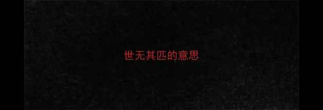 世无其匹的意思