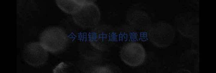 图片 今朝镜中逢的意思