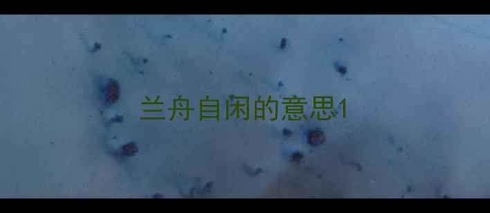 兰舟自闲的意思