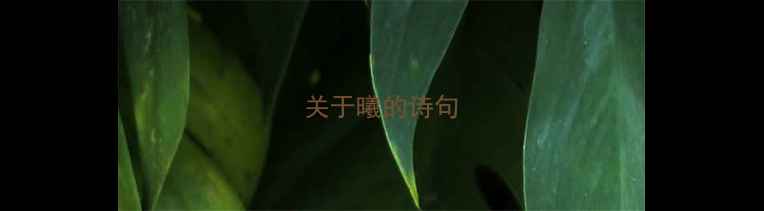 图片 关于曦的诗句