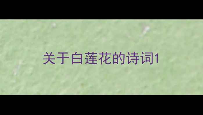 图片 关于白莲花的诗词1