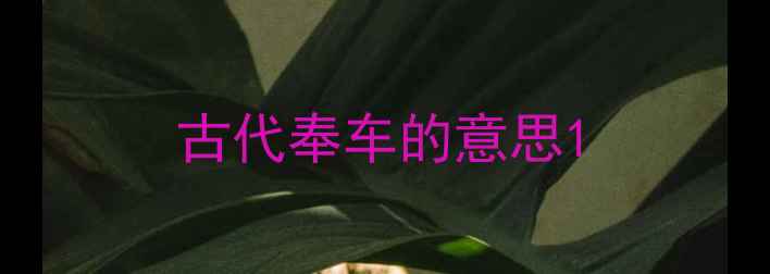 古代奉车的意思