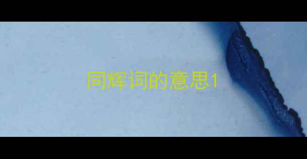 同辉词的意思