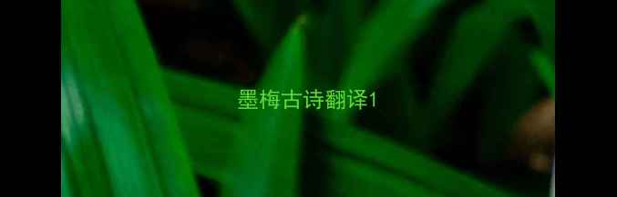 墨梅古诗翻译