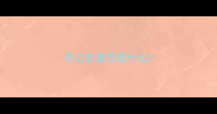 寻丈的意思是什么