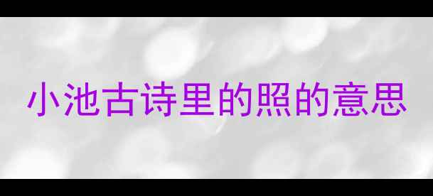 小池古诗里的照的意思
