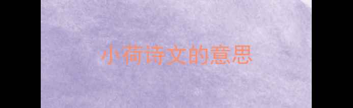 小荷诗文的意思