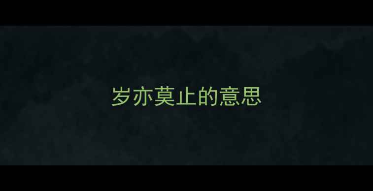 岁亦莫止的意思