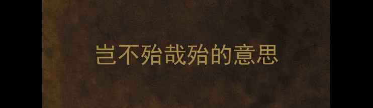 岂不殆哉殆的意思