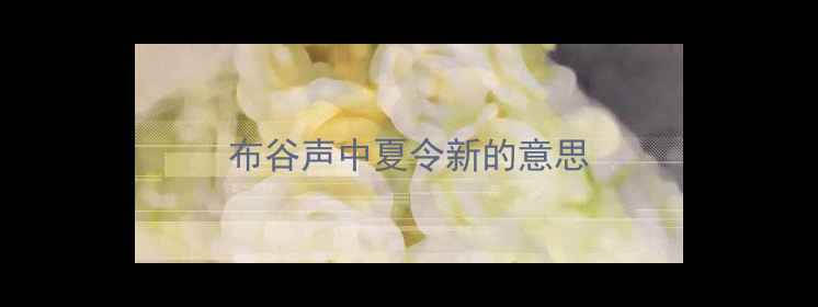 布谷声中夏令新的意思