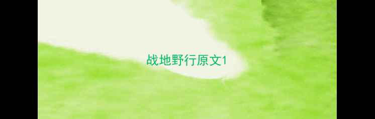战地野行原文