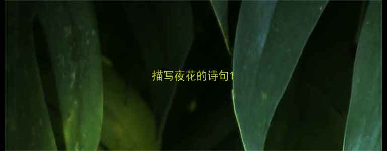 描写夜花的诗句