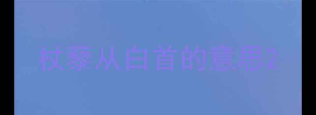 杖藜从白首的意思