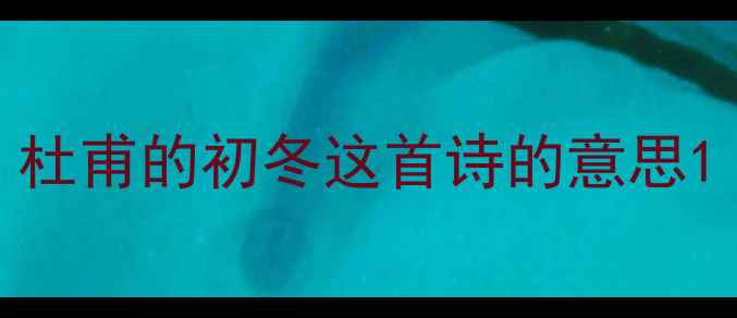 杜甫的初冬这首诗的意思