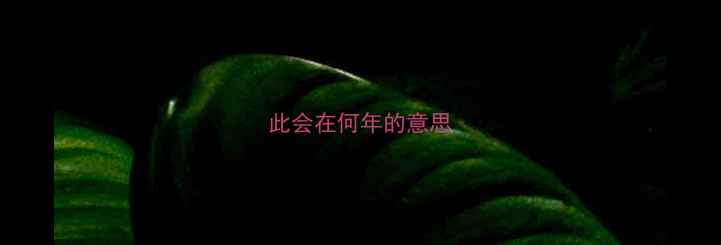 此会在何年的意思