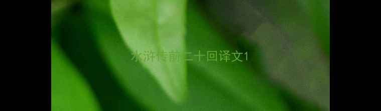 水浒传前二十回译文