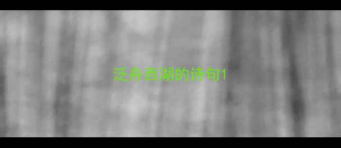 泛舟西湖的诗句