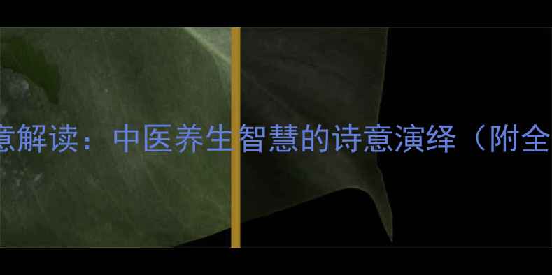 灵枢卫气诗意解读中医养生智慧的诗意演绎附全篇白话翻译