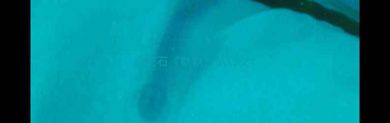 图片 王安石《默默》的译文1