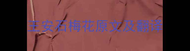 图片 王安石梅花原文及翻译
