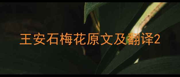 图片 王安石梅花原文及翻译2