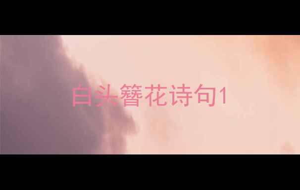 图片 白头簪花诗句1