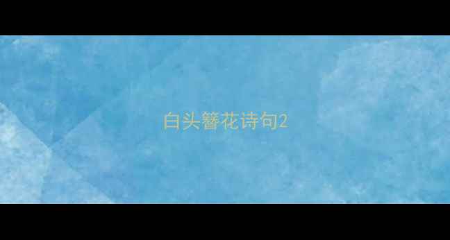白头簪花诗句