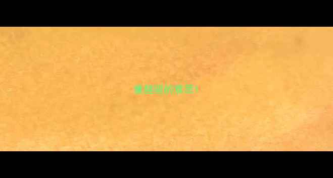 图片 童趣驱的意思1