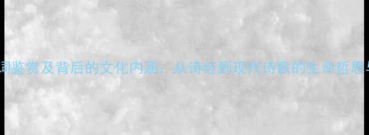 花谢花开诗词鉴赏及背后的文化内涵从诗经到现代诗歌的生命哲思与美学传承