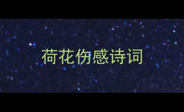 荷花伤感诗词