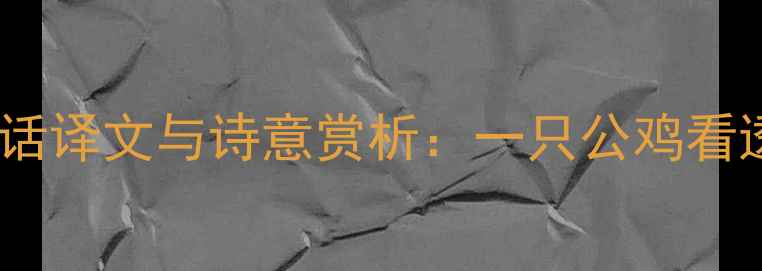 袁枚咏鸡白话译文与诗意赏析一只公鸡看透人生百态