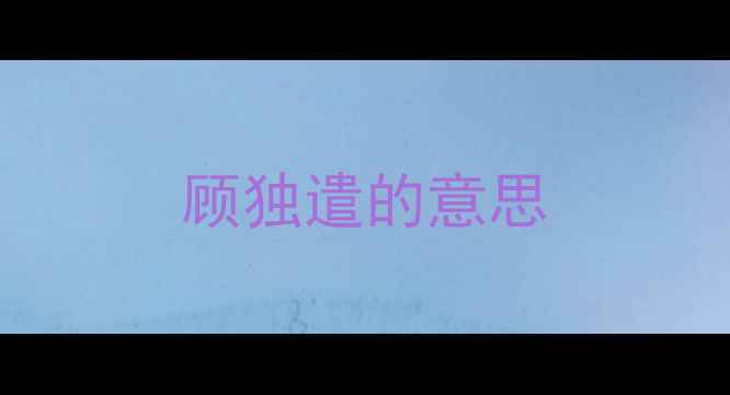顾独遣的意思