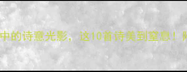 树日光古诗中的诗意光影这10首诗美到窒息附赏析仿写技巧