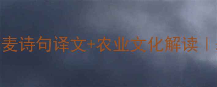 图片 🌾诗经·七月种麦诗句译文+农业文化解读｜耕读传家古韵新