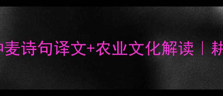 诗经七月种麦诗句译文农业文化解读耕读传家古韵新
