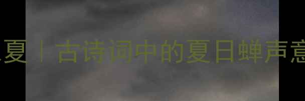 蝉鸣入夏古诗词中的夏日蝉声意境全