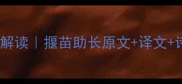经典成语新解读揠苗助长原文译文诗歌创作灵感