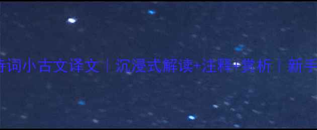 古诗词小古文译文沉浸式解读注释赏析新手必看